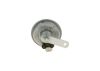 Signal Horn -