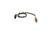 Oxygen Sensor -