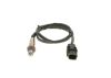 Oxygen Sensor -