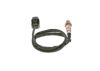 Oxygen Sensor -