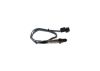 Oxygen Sensor -