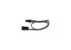 Oxygen Sensor -