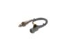 Oxygen Sensor -