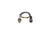 Oxygen Sensor -