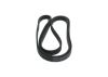 V-Ribbed Belt MERCEDES-BENZ - 003 993 33 96 - 6DPK2217