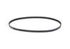 V-Ribbed Belt -