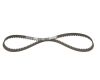 Timing Belt -