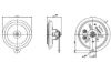 Signal Horn -