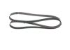 V-Ribbed Belt VAG - 078 903 137 AR - 6PK1870