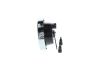 Signal Horn -