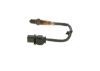 Oxygen Sensor -
