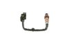 Oxygen Sensor -