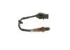 Oxygen Sensor -