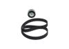 Timing Belt Kit -