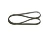 V-Ribbed Belt -