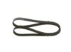 V-Ribbed Belt -
