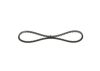 V-Belt 10X838