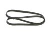 V-Ribbed Belt -