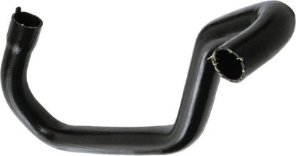 Radiator Hose -