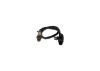 Oxygen Sensor -