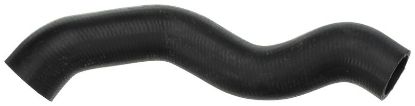 Radiator Hose -