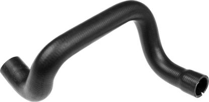 Radiator Hose -