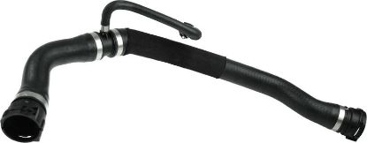 Radiator Hose -