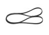 V-Ribbed Belt -