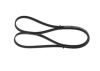 V-Ribbed Belt -