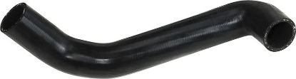 Radiator Hose -