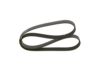 V-Ribbed Belt -