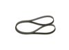 V-Ribbed Belt -