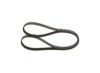 V-Ribbed Belt -