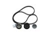 Timing Belt Kit FORD; OPEL; VAUXHALL