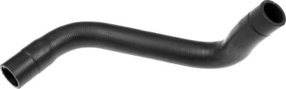 Radiator Hose -