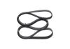 V-Ribbed Belt -