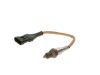 Oxygen Sensor -