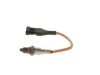 Oxygen Sensor -