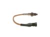 Oxygen Sensor -