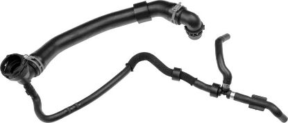 Radiator Hose -