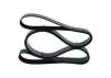 V-Ribbed Belt -