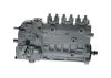 lnjection Pump -