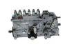 lnjection Pump -