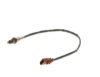 Oxygen Sensor -