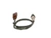 Oxygen Sensor -