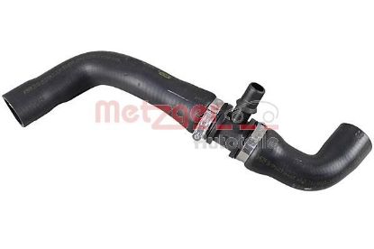 Radiator Hose -