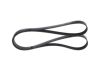 V-Ribbed Belt -