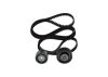 Timing Belt Kit -