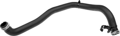 Radiator Hose -