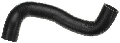 Radiator Hose -